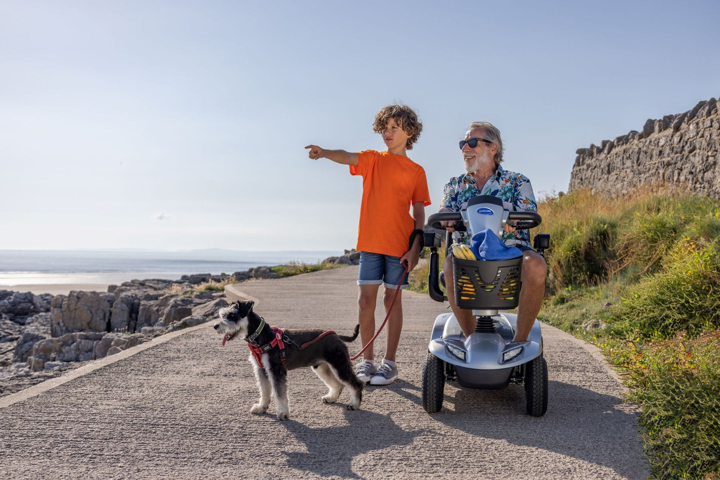 LEO - agile, safe, comfortable